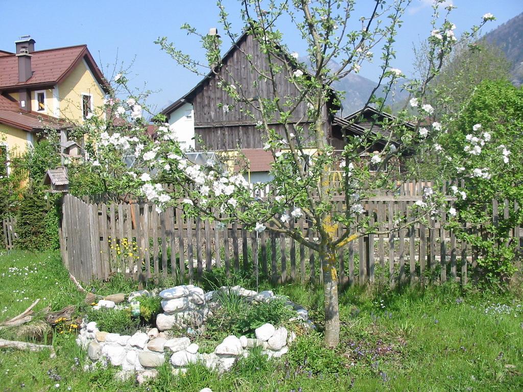 Ferienwohnung Am Pflanzgarten เอเบินซี ภายนอก รูปภาพ