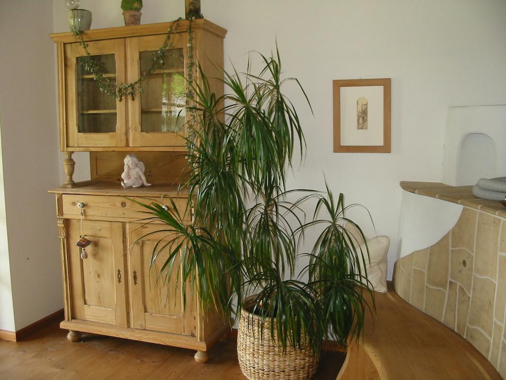 Ferienwohnung Am Pflanzgarten เอเบินซี ห้อง รูปภาพ